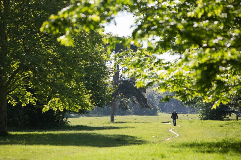 jardin BV.jpg